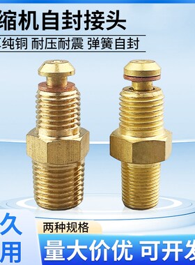 制冷压缩机黄铜接头顶开式自封接头压力表外螺纹弹簧粗细牙接头