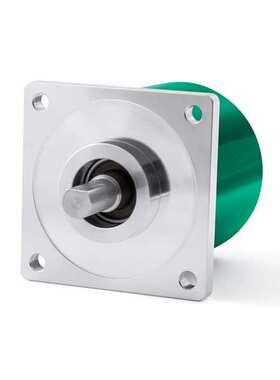 AM58S12/16-GY-10 莱卡编码器