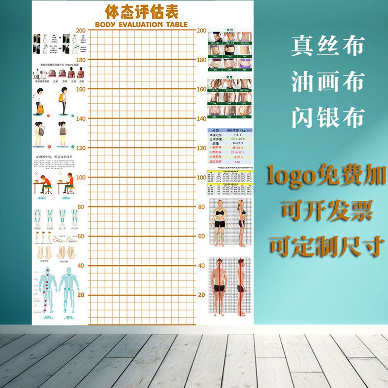 儿童体态身高评估表站姿体测网格背景墙纸幼小中R青少年体测评估