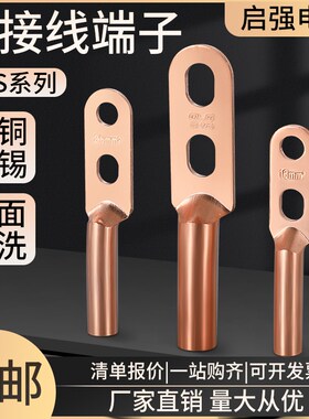 双孔铜鼻子国标加h厚镀锡铜过渡接线端子双眼DTS-16/25/35/507040