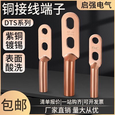 双孔铜鼻子国标加h厚镀锡铜过渡接线端子双眼DTS-16/25/35/507040