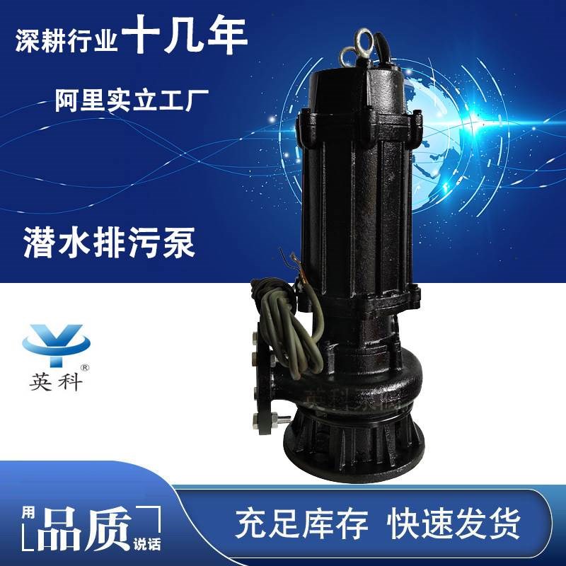 潜水泵220V水泵家用抽水泵高扬程小型抽水机农用灌溉污水泵排污泵