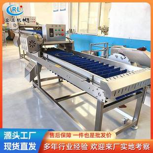 厂家供应芦笋去根机链板式青辣椒去蒂机全自动玉米去头去尾机