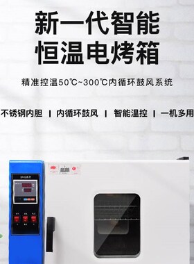 电热恒温鼓风干燥箱工业烘箱高温烤箱老化实验室烘干机试验箱