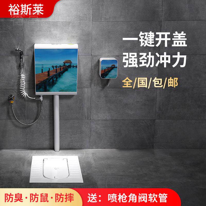 睿富蹲便器水箱套装带盖板家用防书皮/书衣