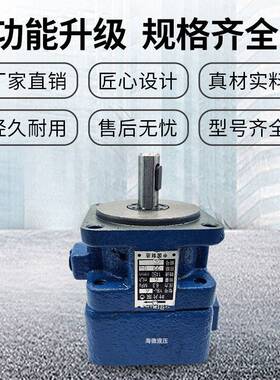 液压YB1叶片泵油泵YB1-6 YB1-10/16/4/20/25/40/50/80/100单双联