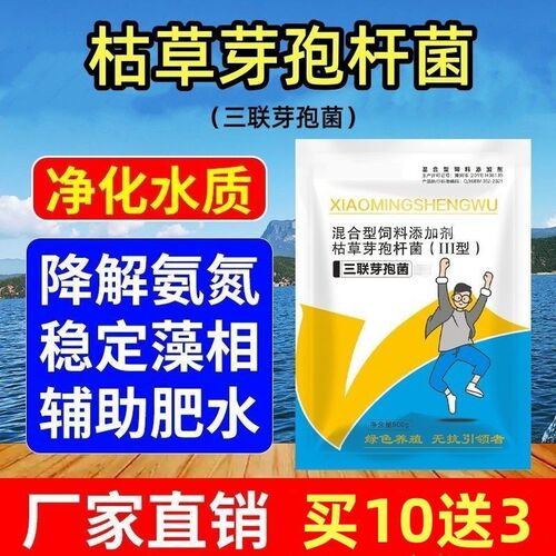枯草芽孢杆菌水产养殖鱼虾蟹塘养殖除臭净水调水降亚盐调PH