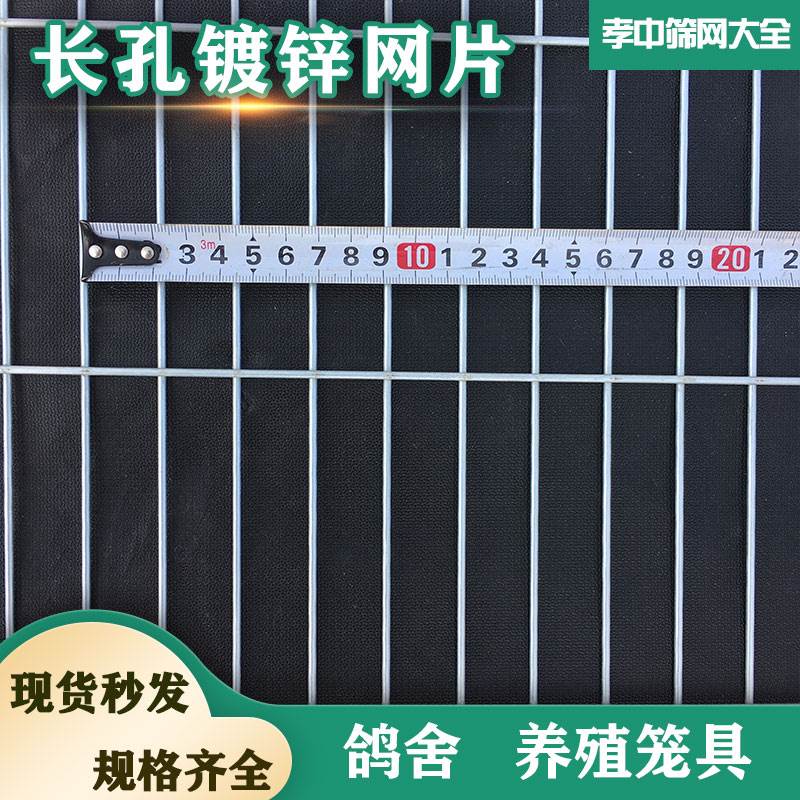 铁丝网片鸽舍围栏热镀锌钢丝网养殖加粗加密地网防T护网格长孔镀