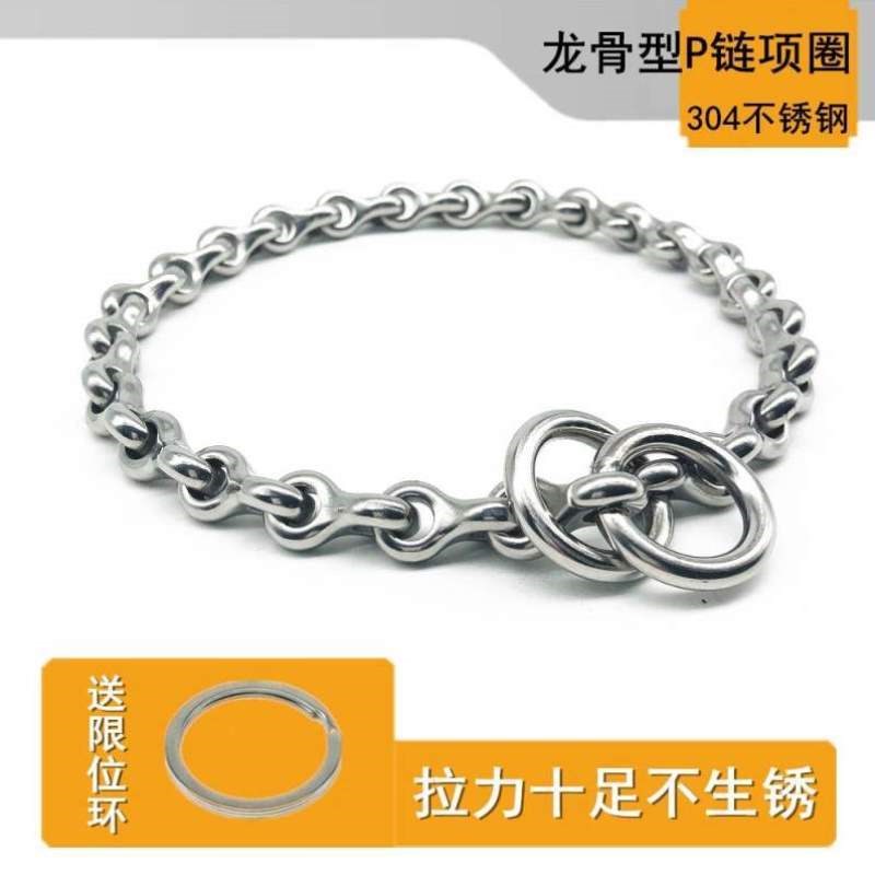 狗狗训犬犬马龙骨项圈卡斯304大型罗脖套犬链子金毛不锈钢中型P链