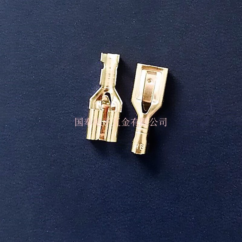 6.3插簧端子 250母端带锁 反扣插簧