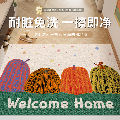 入户门地垫进门门口脚垫子高级感2024新款耐脏pvc可X擦洗玄关地毯