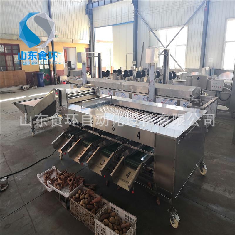 滚杠式土豆分级机马铃薯苹果橘子分级机红薯干成套设备