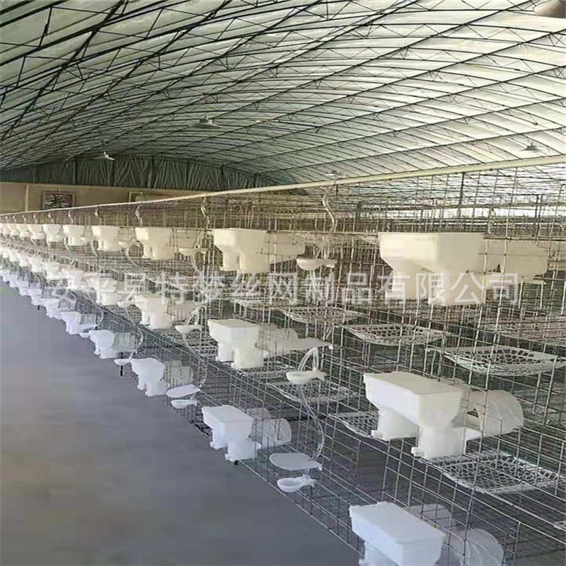 鸽笼 鸽子笼 鸽笼铁网  鸽笼16位 鸽笼配件 养殖白鸽笼