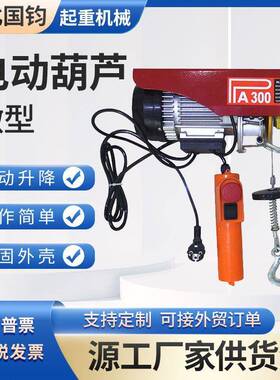 微型电动葫芦家用室内小吊机220V小型提升机PA1000钢丝绳起重葫芦