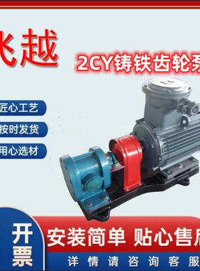铸铁齿轮泵2.5Mpa电动卧式2CY-7.5/2.5甲醇燃烧机油输送泵