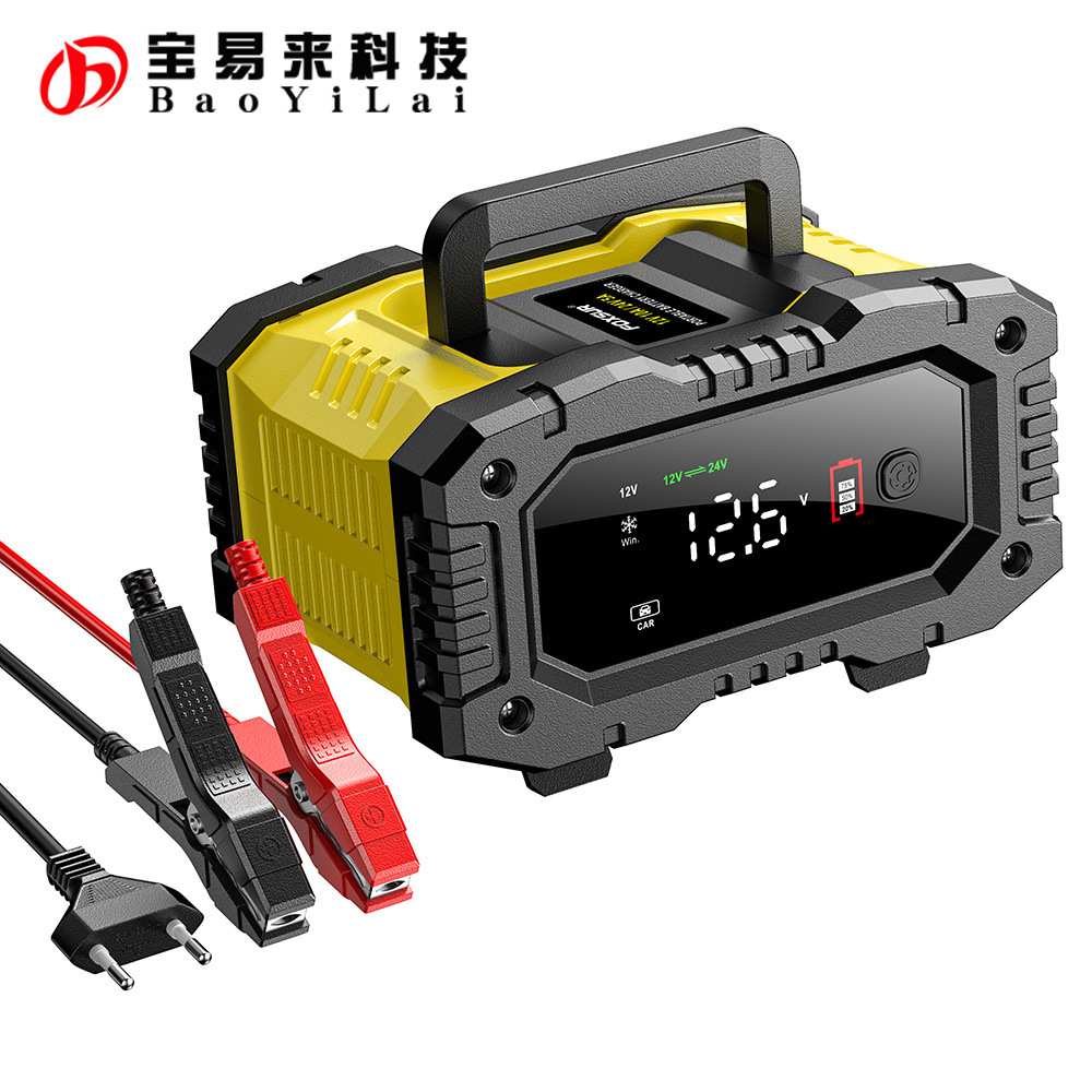 FPT-100 10A Lead-Acid LiFePo4 battery charger 手持电瓶充电仪