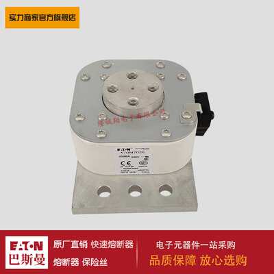 熔断器170M6967 170M6968 170M6969 170M6970 170M7041 170M7042