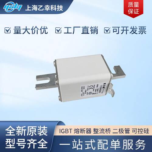巴斯曼熔断器 170M4985 170M4986 170M4987 170M4988 170M4989