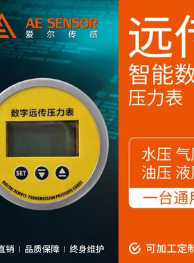 厂家供应AE-P1智能数显远传压力表 4-20mA/RS485信号输出60mm表盘