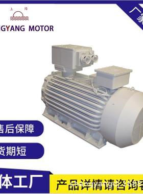YFB3粉尘防爆电机隔爆三相异步电动机立卧式化工设备防爆认证