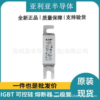 170M1358 170M1359 低压熔芯 快速保险丝 半导体电子元器件 现货