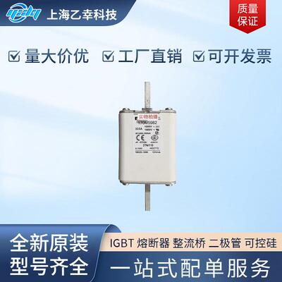 巴斯曼熔断器 170M5973 170M5974 170M5975 170M5981 170M5982