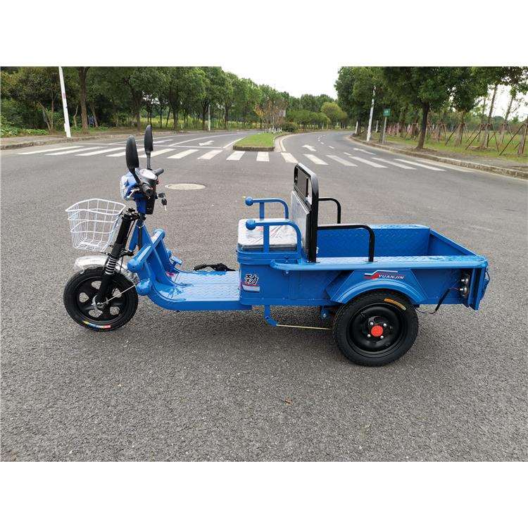 电动三轮车货车新款家用电瓶三轮车成人代步车载重小货运平板车