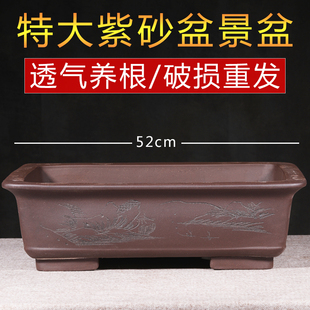 宜兴特大号长方形紫砂盆景盆假山老桩榕树花盆阳台种菜盆透气养根