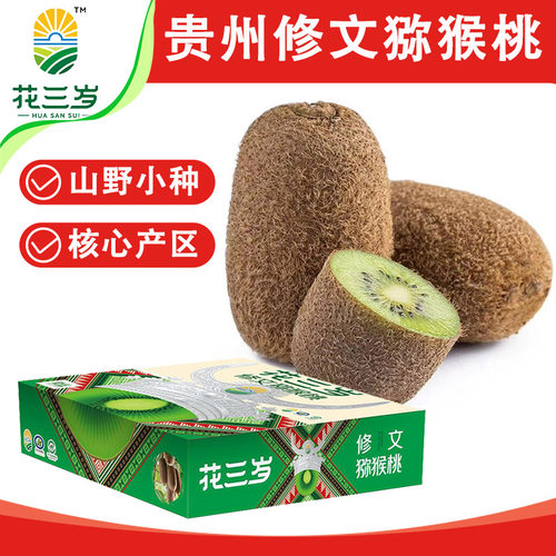 花三岁贵州修文猕猴桃