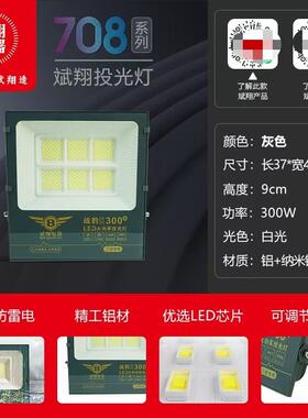 LED户外投光灯广告防烈豹战豹系列防水白超亮射灯50W100W200W300W