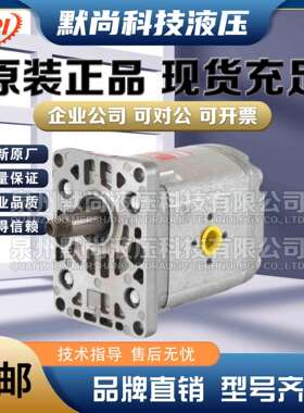 法国HPI齿轮泵P1BAN2004/2006/2008/2010/2012/2014/2015液压油泵
