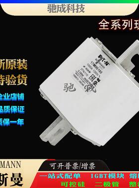 巴斯曼170M6198 170M6199 170M6200 厂家直供零售 快速保险丝