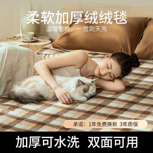 2025新款电热毯褥子单双人学生宿舍小尺寸双控调温开关发热环鼎牌