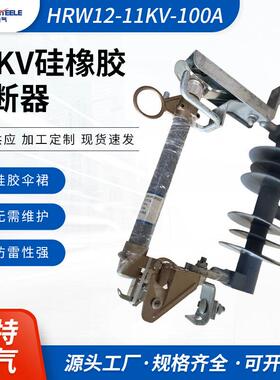 高压跌落式熔断器硅橡胶熔断器HRW12-11KV-100A高压真空熔断器