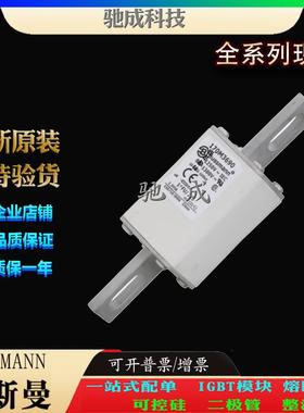 巴斯曼170M3688 170M3689 170M3690 销售供应零售 快速保险丝