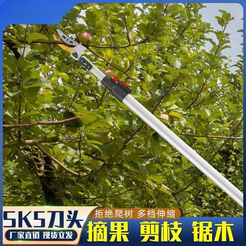 摘水果修枝剪伸缩高空摘果剪刀加长采摘器荔枝莲蓬龙眼高枝剪