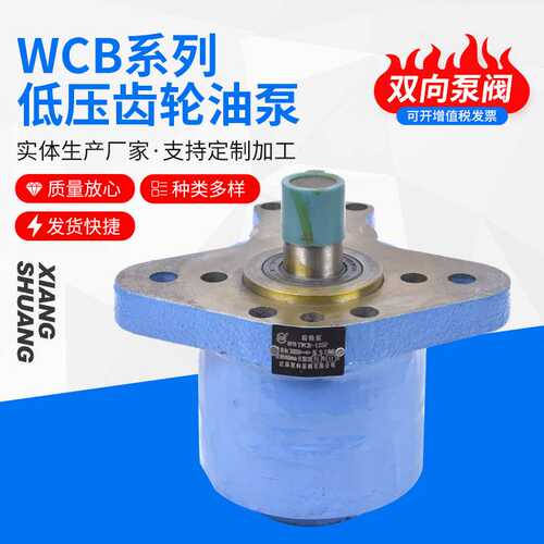 CB-BW菱型齿轮油泵 CB-BW-16直联式齿轮油泵WCB-63齿轮油泵型号多