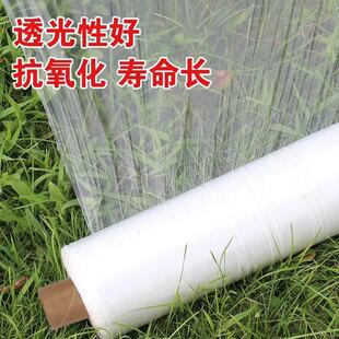 白地除农用白膜保温保湿蔬菜大棚种植膜草防草地膜耐拉扯塑料薄膜
