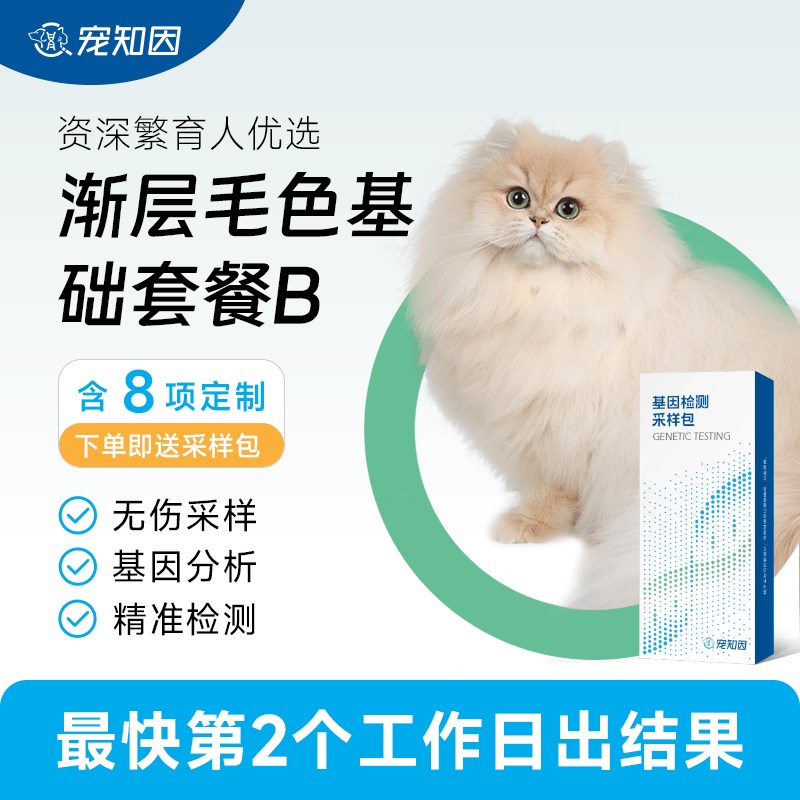 猫舍定制渐层毛色基础套餐B 宠物猫咪基因检测