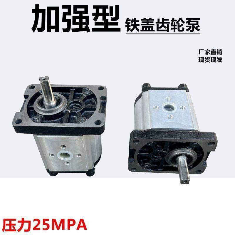 加强型液压油泵花键齿轮泵动力机306/310/314/316/20/25压力25MPA,鲜花速递/花卉仿真/绿植园艺,割草机/草坪机,淘宝优惠券,粉丝福利购,淘宝优惠卷