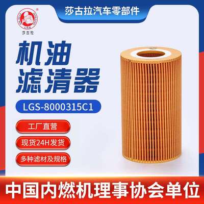 适用纳威司达江淮帅铃H380江淮格尔发KGL原件8000315C1机油滤清器