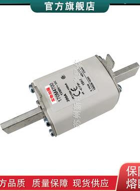 170M4765 4766 4767 4768 4769 巴斯曼bussmann快速熔断器保险丝