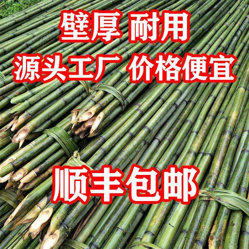 小竹竿菜园搭架细竹子豆角番茄黄瓜葡萄蔬菜爬藤架篱笆栅栏彩旗竿