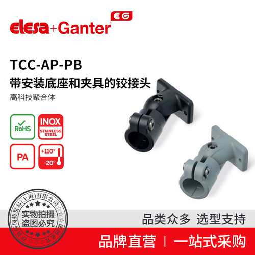 Elesa Ganter伊莉莎冈特 TCC-AP-PB 带安装底座和夹具的铰接头