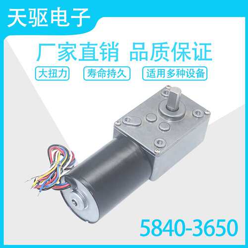 5840-3650直流无刷涡轮蜗杆减速电机 12V24V无刷电机自锁刹车电机