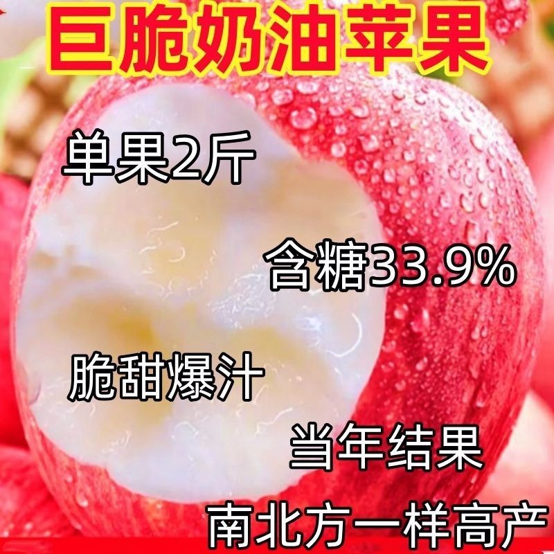 巨脆奶油红富士甜糖心苹果