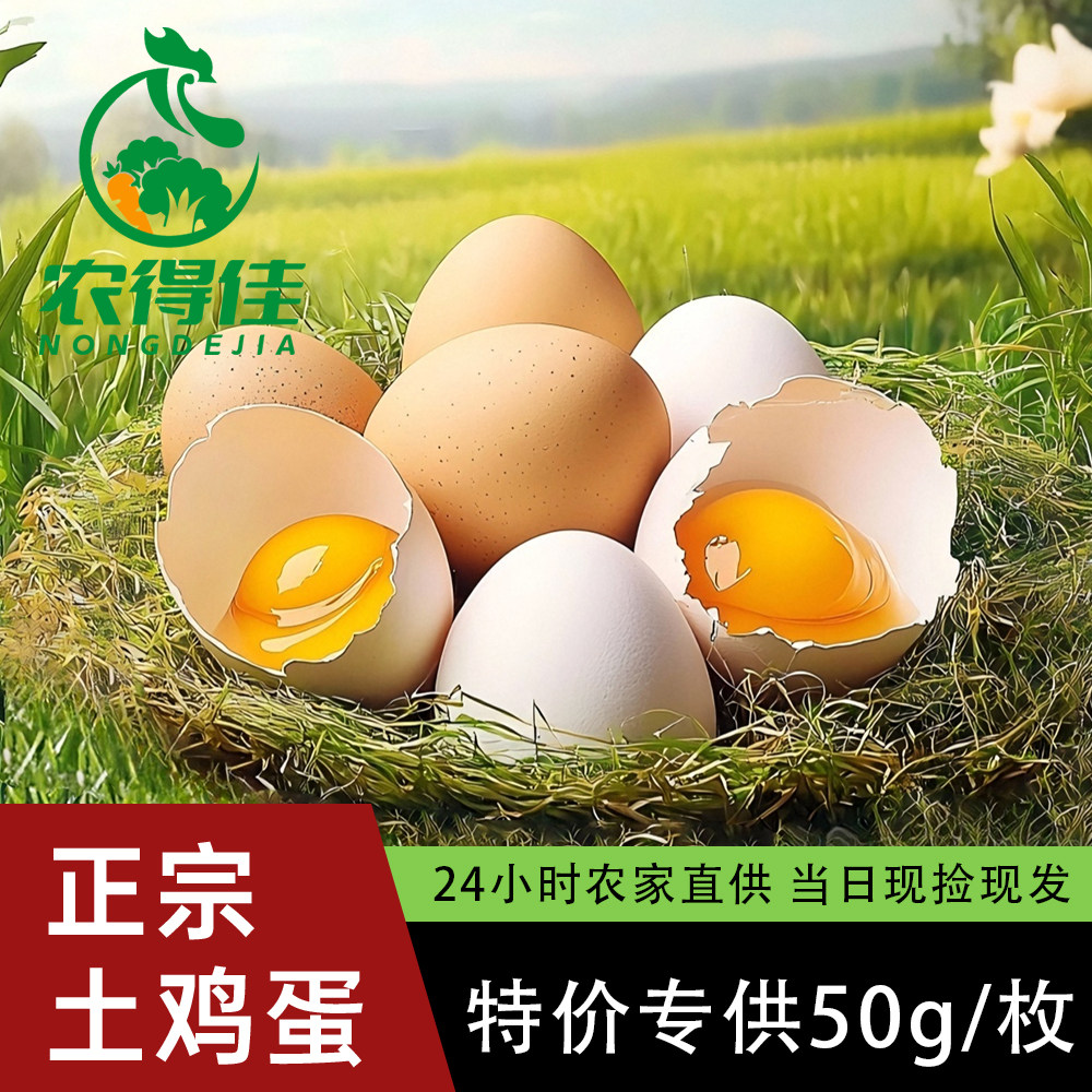【店促特惠】农得佳20枚整箱批发土鸡蛋草鸡蛋散养虫草笨鸡蛋柴鸡,水产肉类/新鲜蔬果/熟食,鸡蛋,淘宝优惠券,粉丝福利购,淘宝优惠卷
