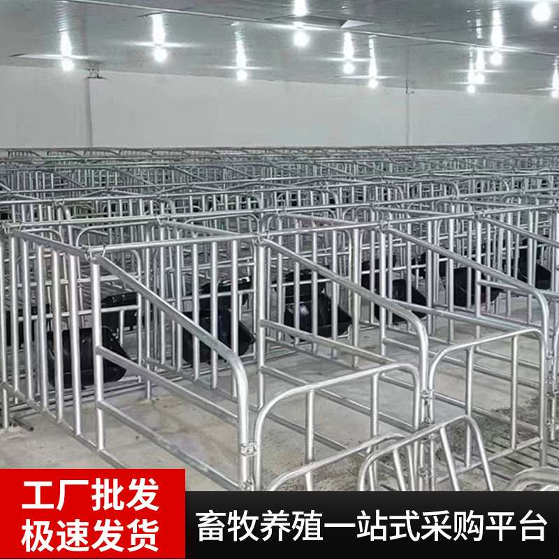 猪场专用落地式定位栏加厚耐重落地式定位栏母猪限位栏猪用定位栏