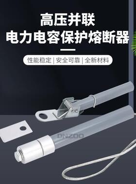 BR2(W)-7/34A 35A 36A 38A 40A 42A 45A 46A 48A 50A高压熔断器