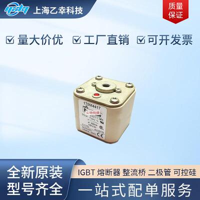 巴斯曼熔断器 170M4489 170M4490 170M4491 170M4492 170M4493